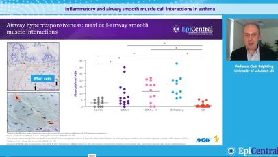 Inflammatory and airway smooth muscle cell interactions in asthma (3/4) 