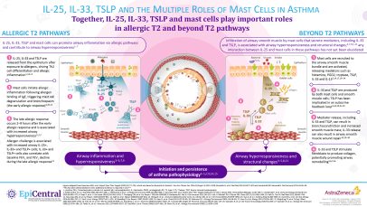 The roles of IL-25, IL-33, TSLP, and mast cells in asthma