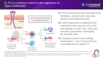 Epithelial crosstalk in modulating the immune response